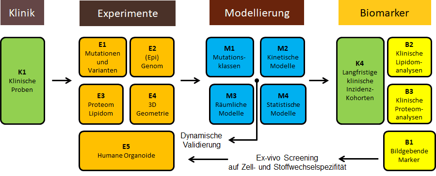 Wissenschaftliches Konzept