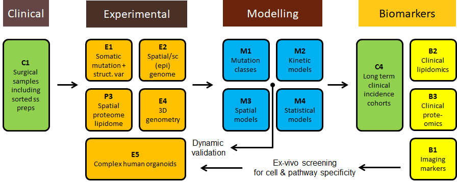 scientific concept visual