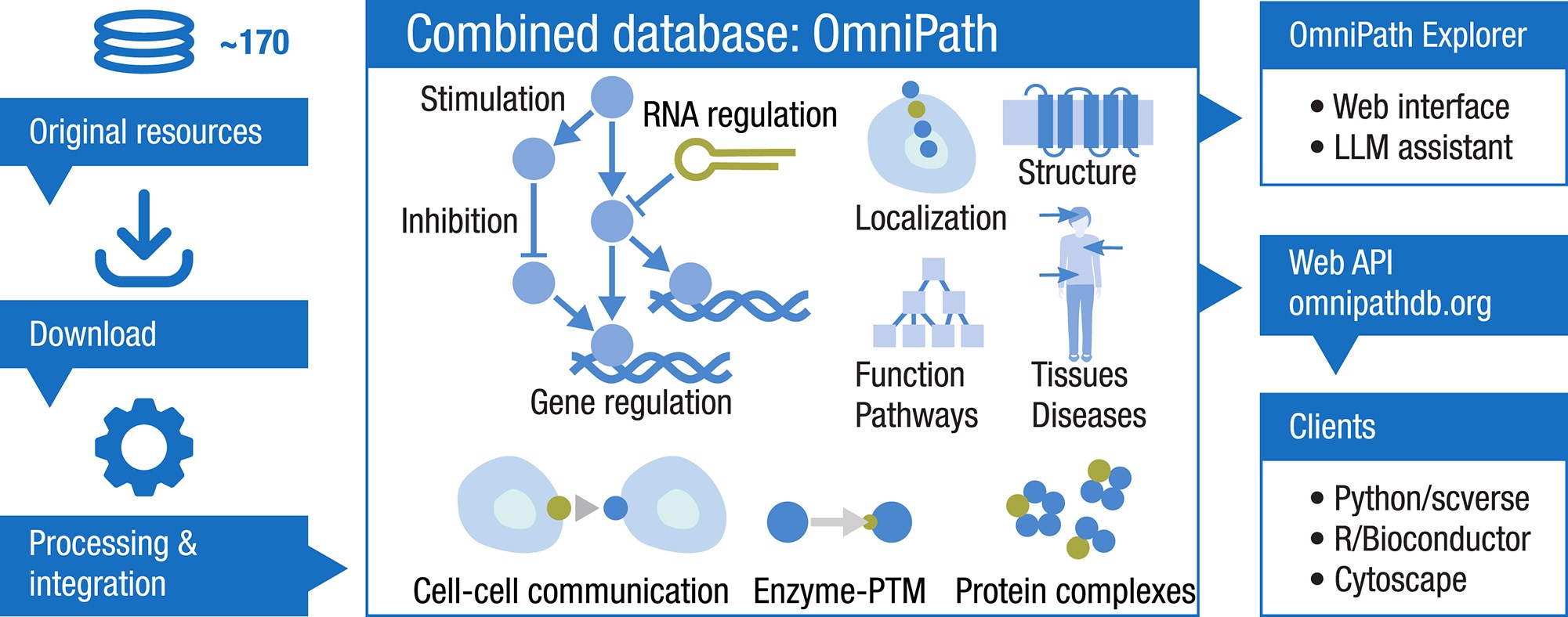 Graphical Abstract