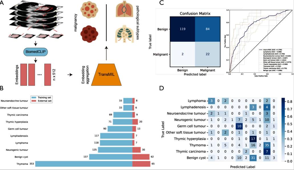 Graphical Abstract