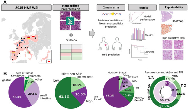 Graphical Abstract