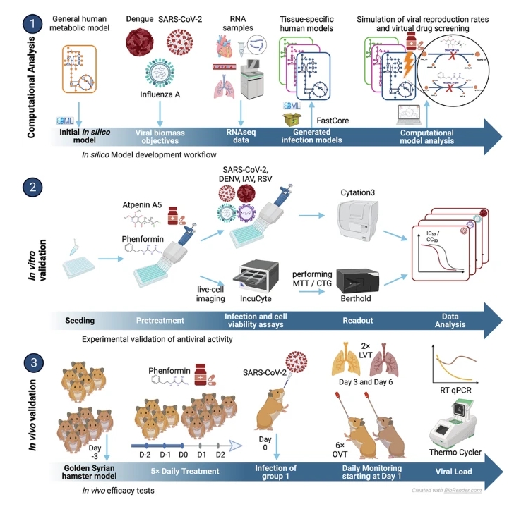 Graphical Abstract