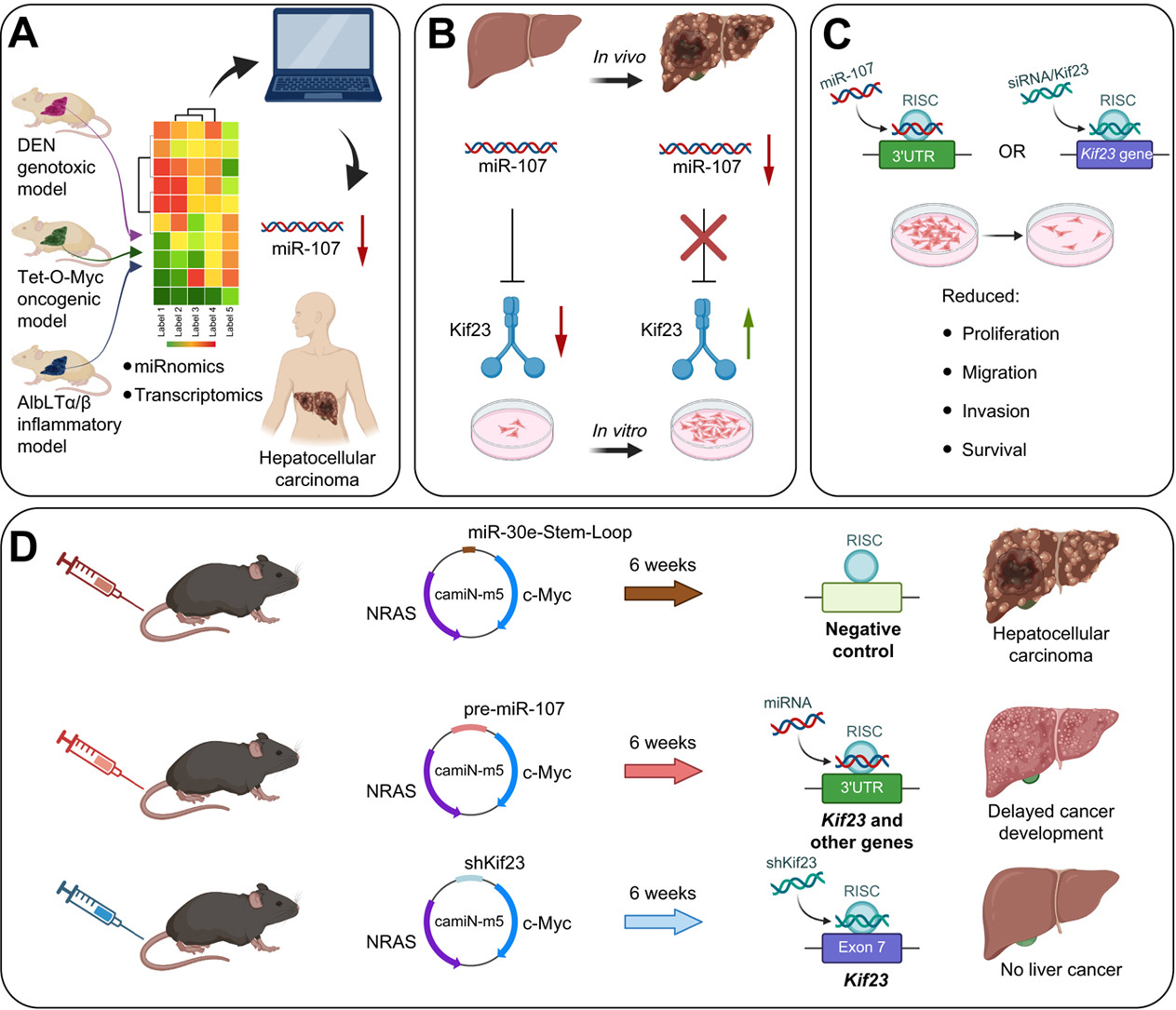 Graphical Abstract