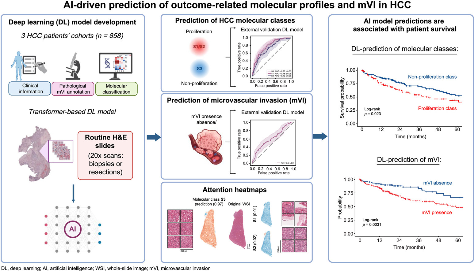 Graphical Abstract